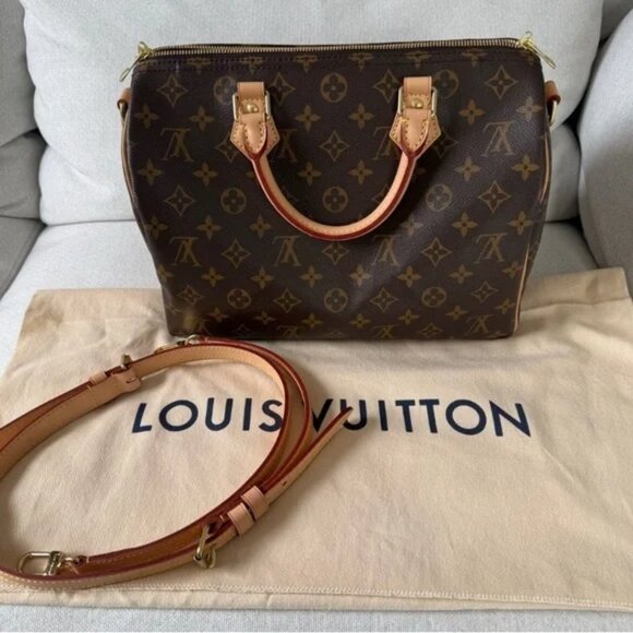 Louis Vuitton Brown Satchel - Picture 1 of 6
